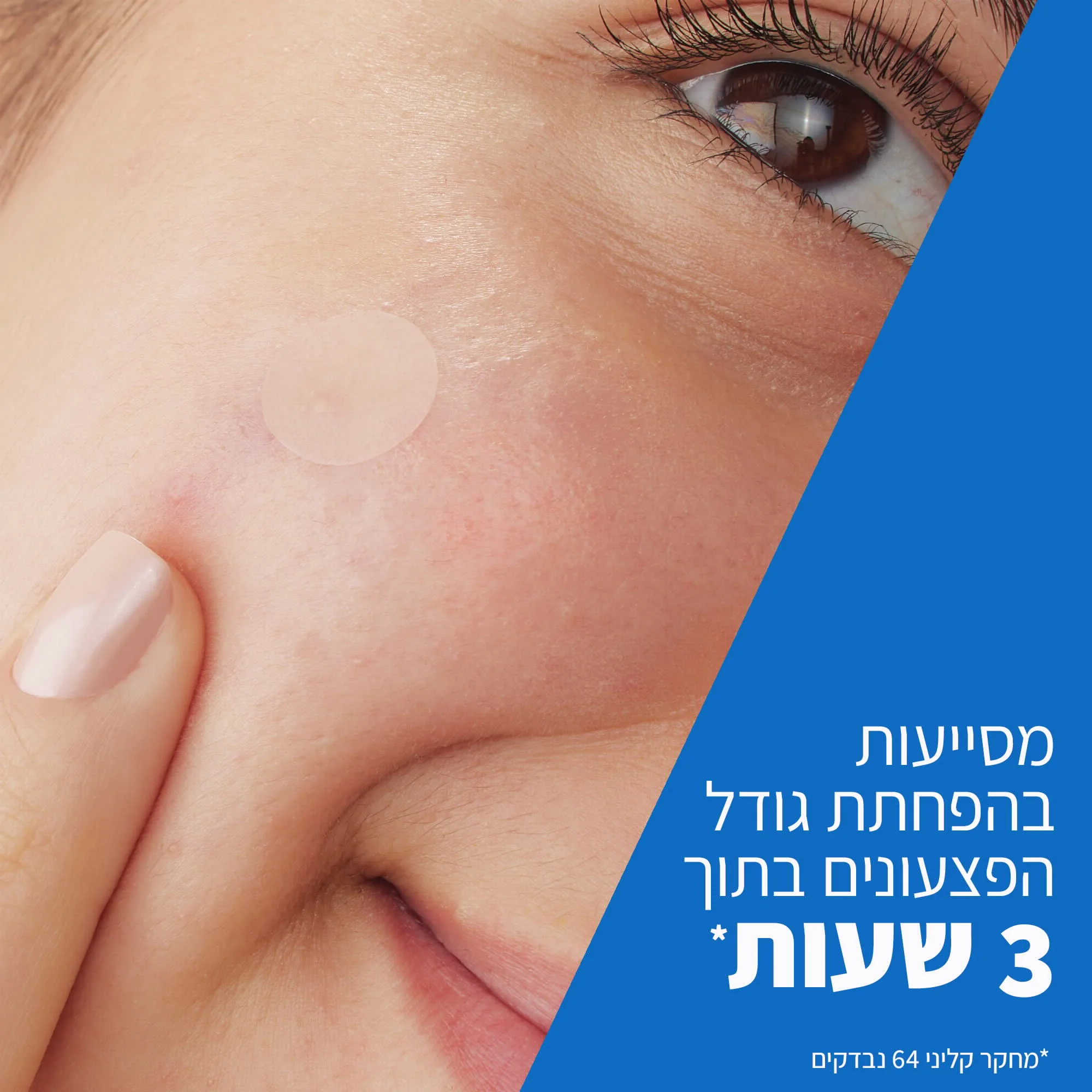 תמונת מוצר 2