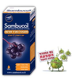 תמונה ממוזערת 1