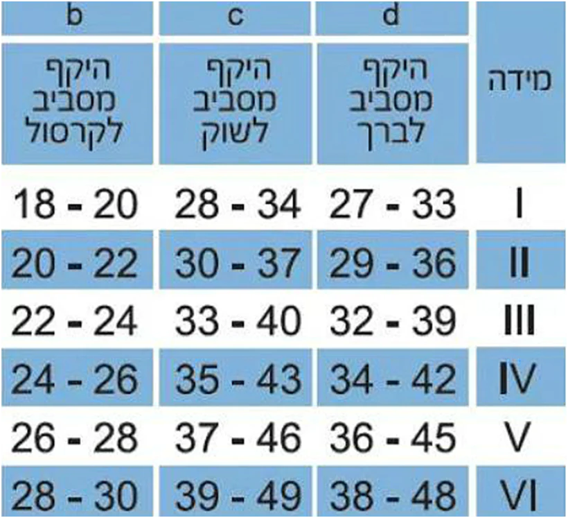 תמונת מוצר 3